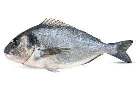 Dorada salvaje Pescadería Ismael 0,6-0,9 kgr
