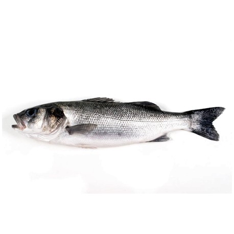 Lubina salvaje Pescadería Ismael 1-2 kgr