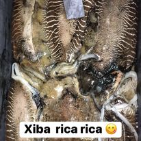 Xiva (Jibia) Pescadería Ismael