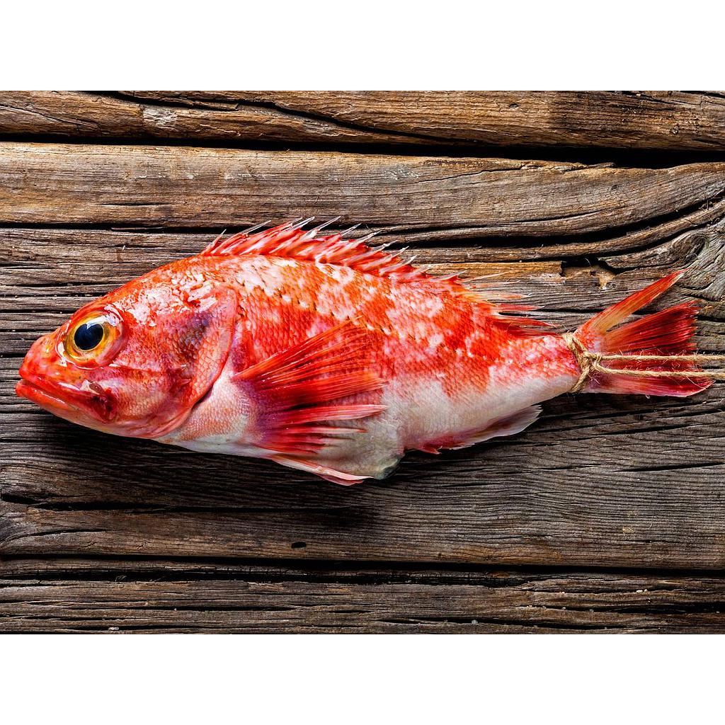 Cabracho  Pescadería Ismael 0.4-0.6 kg.