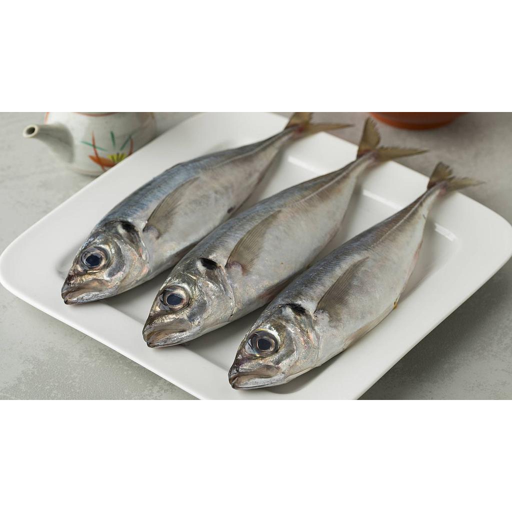 Jurel grande (chicharro) Pescadería Ismael