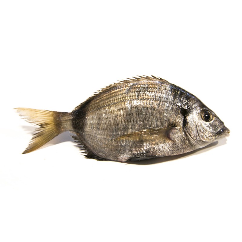 Sargo 0,8-1,2 kg Pescadería Ismael